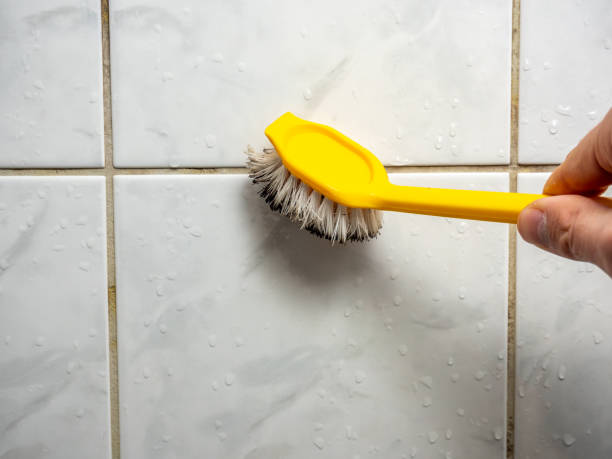 Best Best Mold Removal Companies  in Anderson, SC