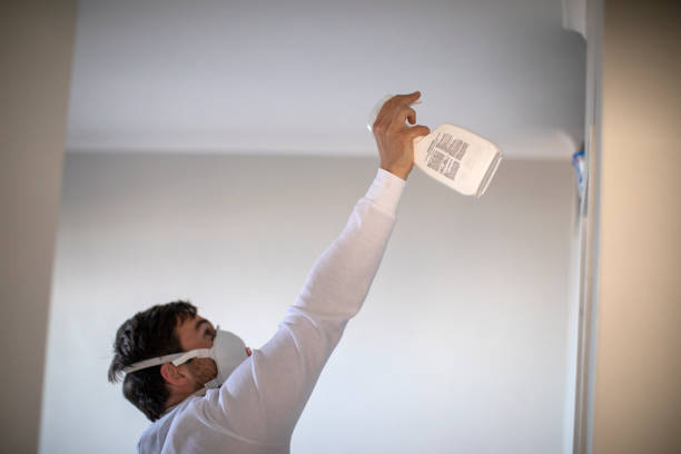 Best Mold Testing and Removal  in Anderson, SC