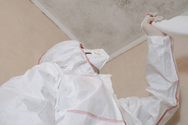 Best Mold Cleaning Services  in Anderson, SC